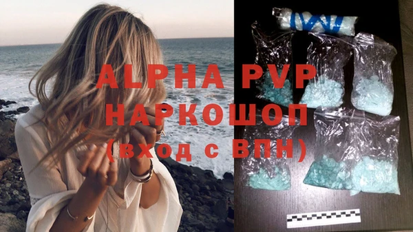 стафф Арсеньев