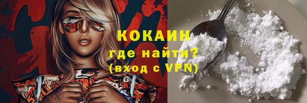 стафф Арсеньев