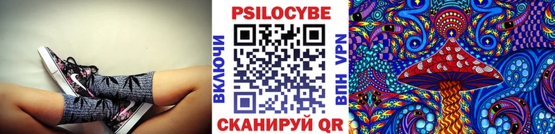Псилоцибиновые грибы Psilocybe площадка какой сайт Барыш хочу наркоту mega ссылка